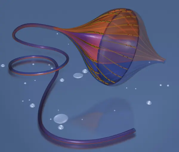 duke_empirical_product-23